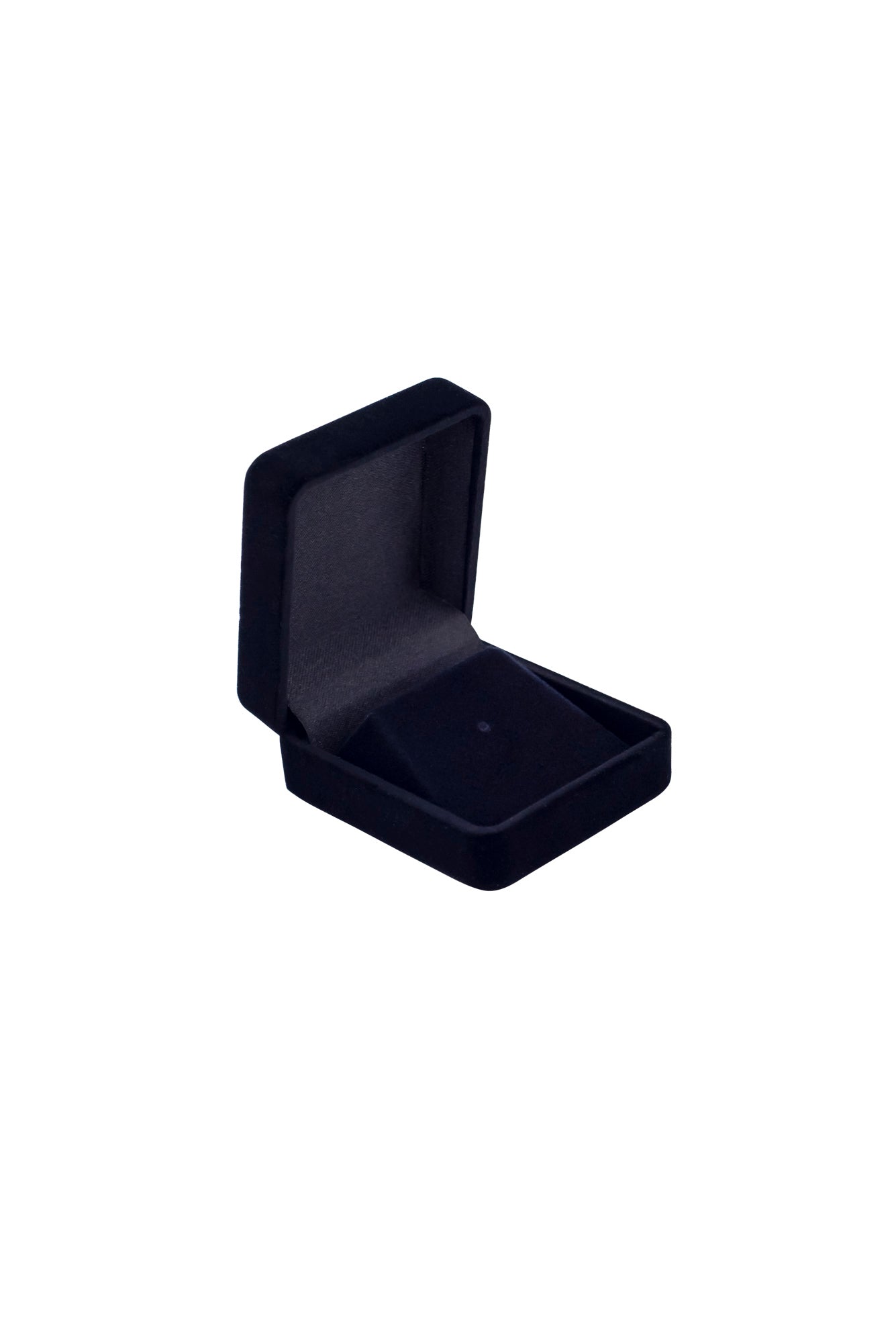 Presentation Case - Lapel Pin