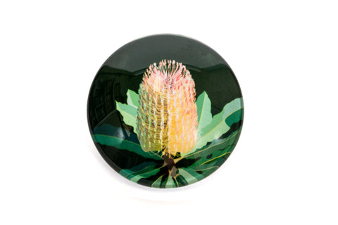 Native Grace Banksia Magnet